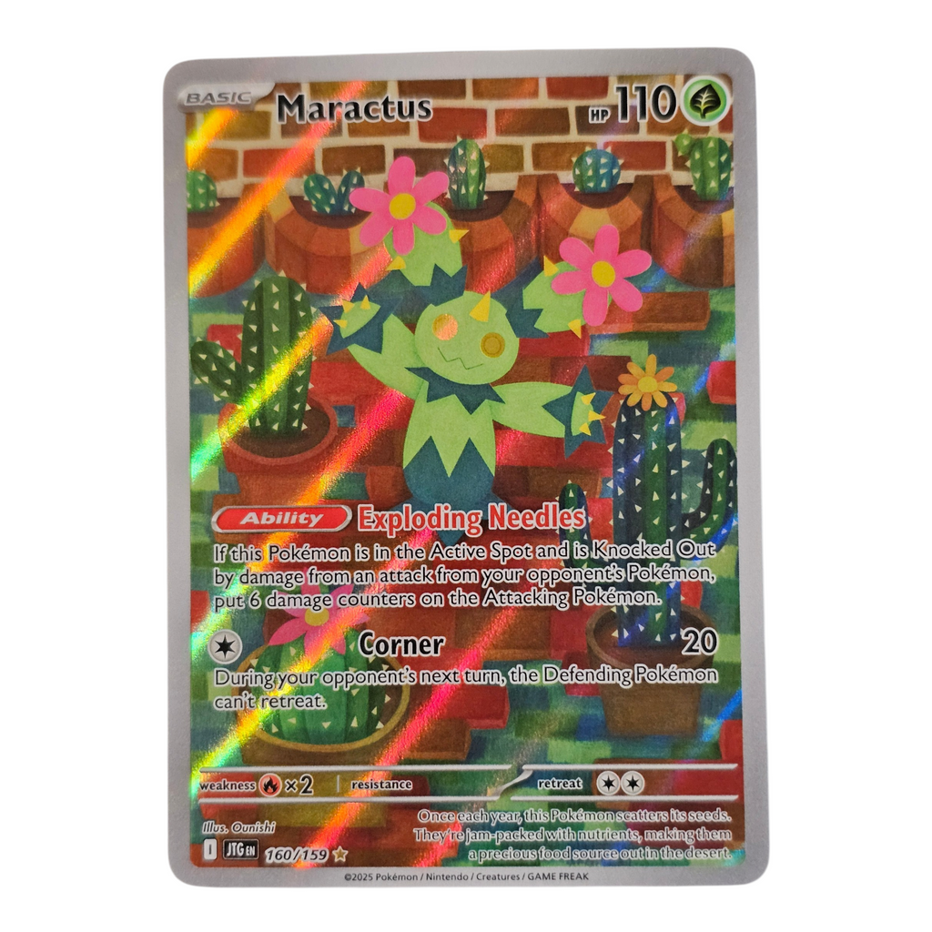 Maractus 160/159