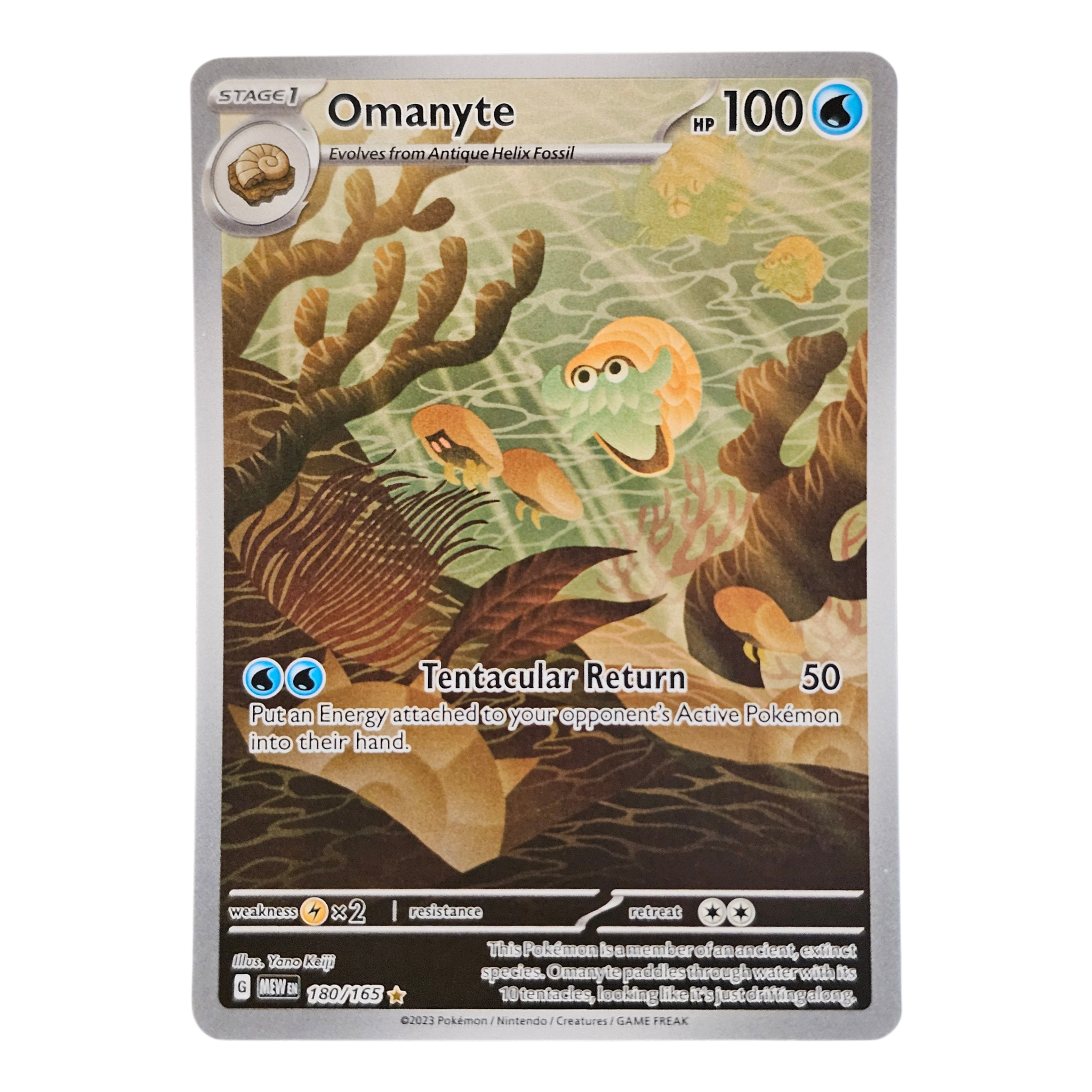 Omanyte 180/165