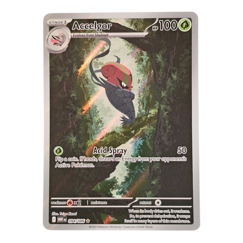 Accelgor 094/086